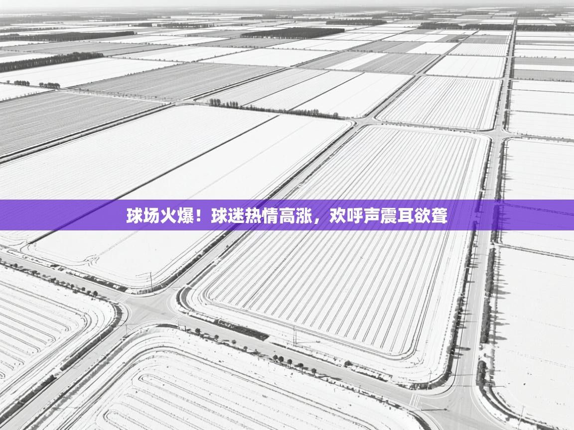球场火爆!球迷热情高涨,欢呼声震耳欲聋 第1张