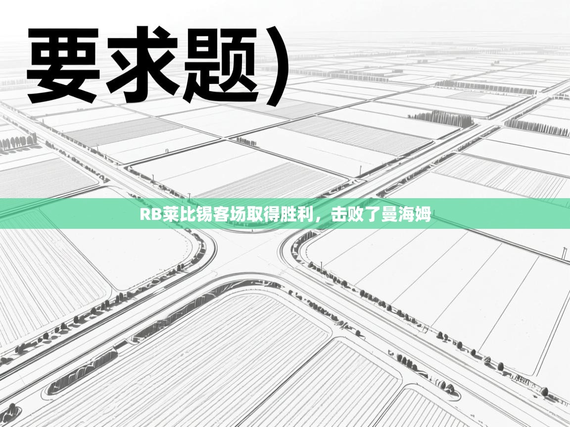 RB莱比锡客场取得胜利，击败了曼海姆  第1张